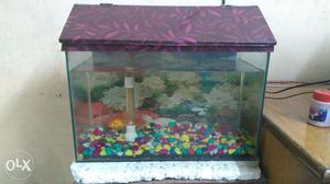 Fish tank with fish full working