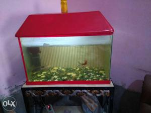 Rectangular Red Fish Tank