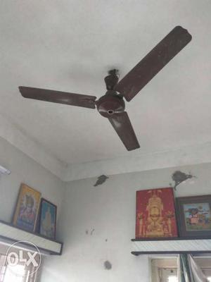 Brown Wooden Three Bladed Ceiling Fan
