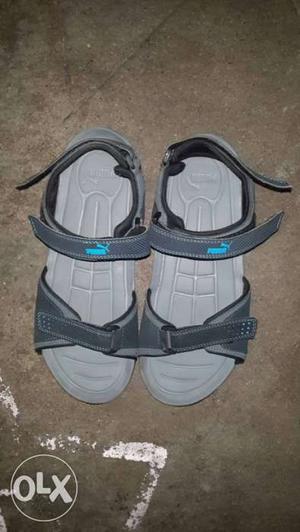 Gray Puma Trek Sandals