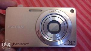 Grey Sony Cyber-shot 14.1 MP Point And Shoot Camera