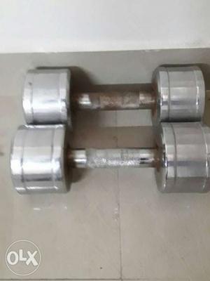 Two Stainless Steel Fixed-weight Dumbbells