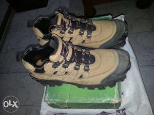 Beige-and-gray Boots On Box