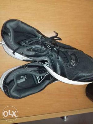 PUMA brand shoes at very low cost for u size 8-9