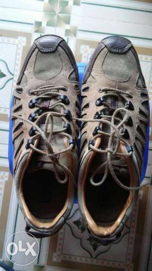 Pair Of Brown Low Shoes