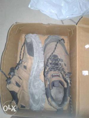 Pair Of Brown-and-black Hiking Shoes In Box