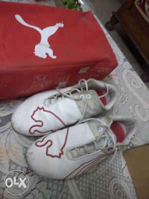 Pair Of Red-and-white Puma Low Tops With Box