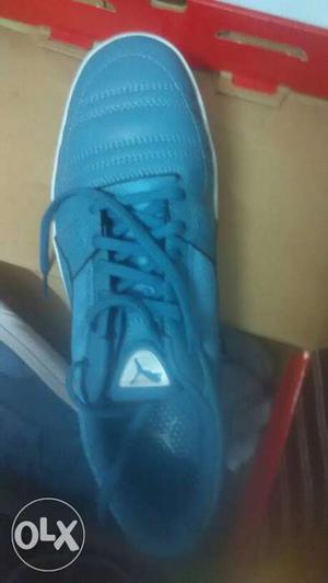 Puma Silver Blue Shoes, Size 8, Totally New, with