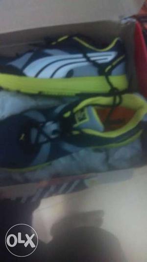 Puma Sport Shoes, Size 8, Totally New, 5K MRP