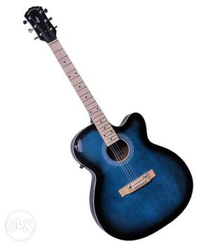 Black And Blue Signature Acoustic Guitar