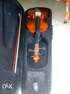 Brown Violin Set In Case