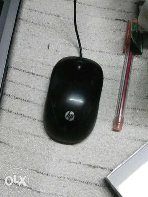 HP Mouse Two months old