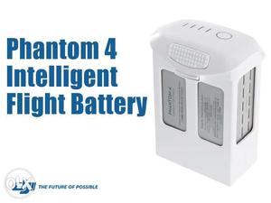 Phantom 4 Battery