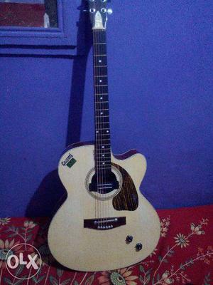 Special And Simple Guitar Only 1 Moths Old