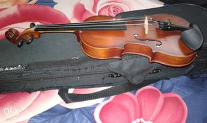 Baby Violin with case