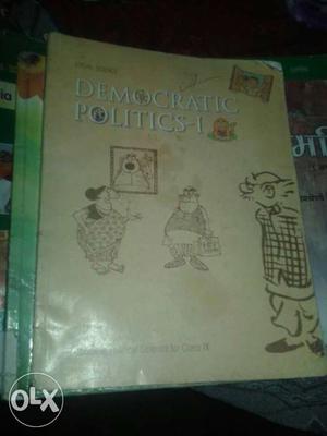 Democratic Politics Book