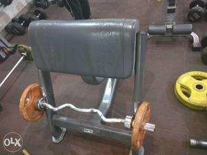 Imported preacher curl 1.5 year old