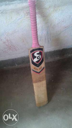 Just 2 months use sg cricket willow bat almost new