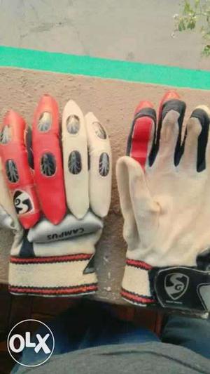 Pure New SG Batting Gloves in less price