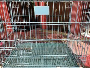 24 Inch cage for dog and cats