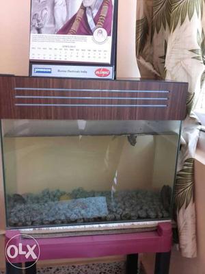 Aquarium for sale