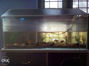 Aquarium sea stone filter and five fish's plastic