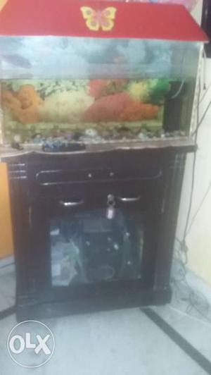 Aquarium with wooden stand