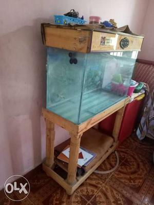 Big fish tank all aviable,stand,pump,good working