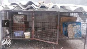 Dog and hen cage