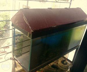 Fish Tank/ Aquarium (~90 Litres - Excellent condition + Free
