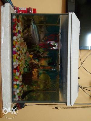 Fish tank on sale size 12 x 18 (very good