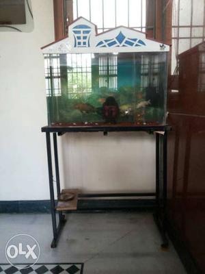 Fishes tank top stand