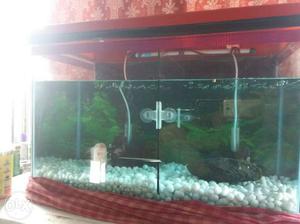 Good condition aquarium only 3 month use only