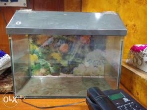 It is a fish tank with attractive background