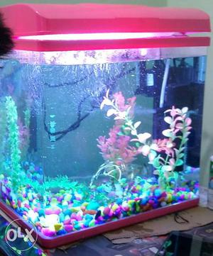 Medium size fish aquarium with 2 filters, 5 kg