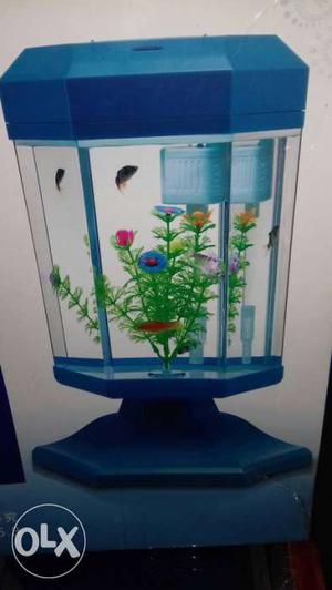 Musical aquarium tank with rotate