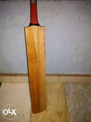 New Hardball Bat for Rs 