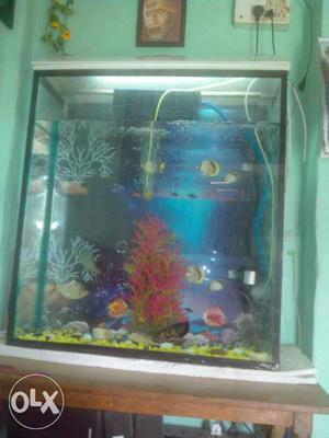 Sell my very big fish pot. with all equipments.
