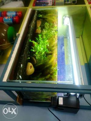 Three feet tank,live plants,led light,fore leyer