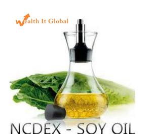 ncdex-hni tips|Free agri NCDEX HNI Tips | Wealth It Global