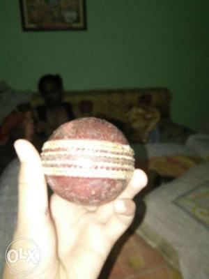 Brown Cricket Ball