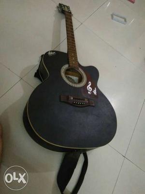 Hobbson Guitar (1 year old)