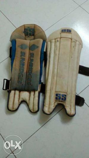 It is WicketKeeping Pad.
