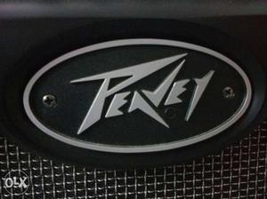 This is a Peavey Vyper 75 amp, this is a brand