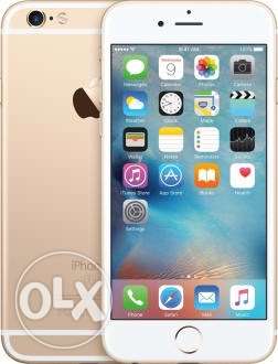 IPhone 6s 64 gb 6 manth old with all