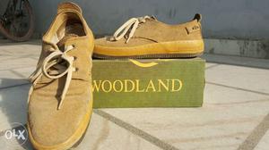 Brown Woodland Low Top Sneakers On Box