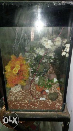 Fish tank - aquarium with marine decoration n soil