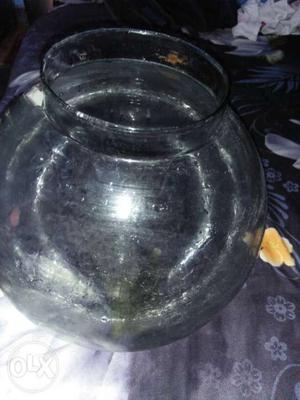 It is a fish pot it is in excellent condition