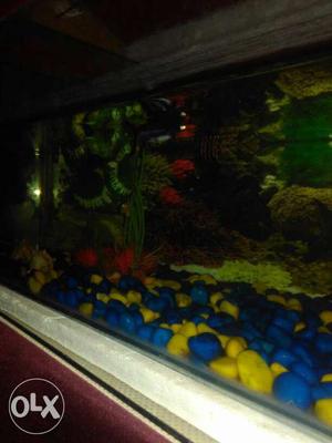 It is very good and cute quality aquarium with
