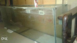 Large fish tank